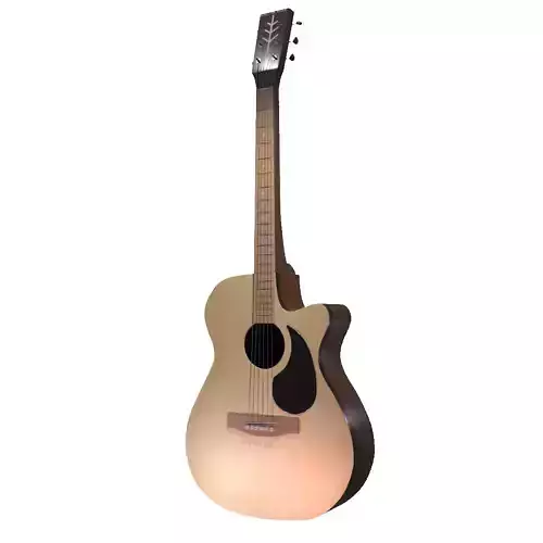 Classic Acoustic Guitar