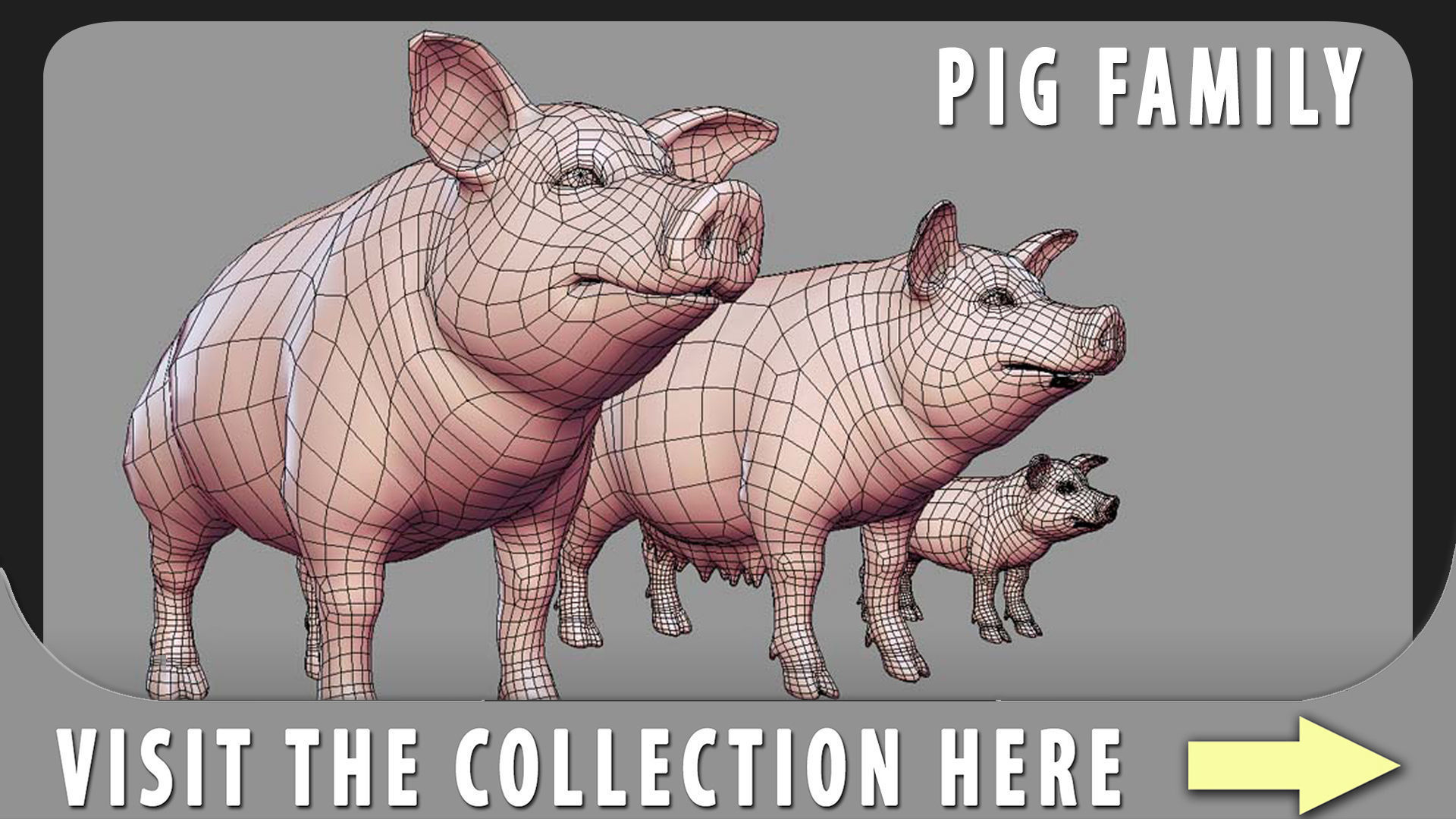 Pig Female  Low-poly 3D model_7