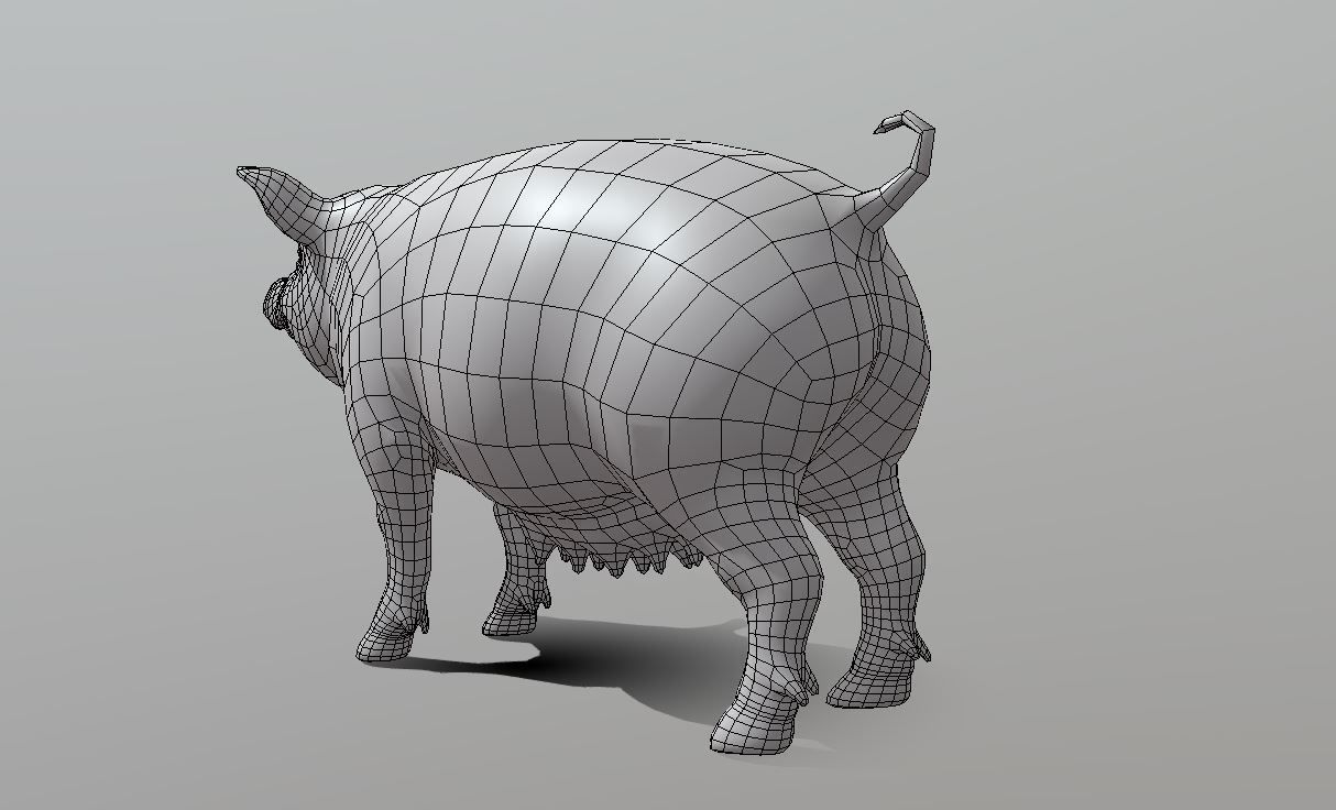 Pig Female  Low-poly 3D model_5