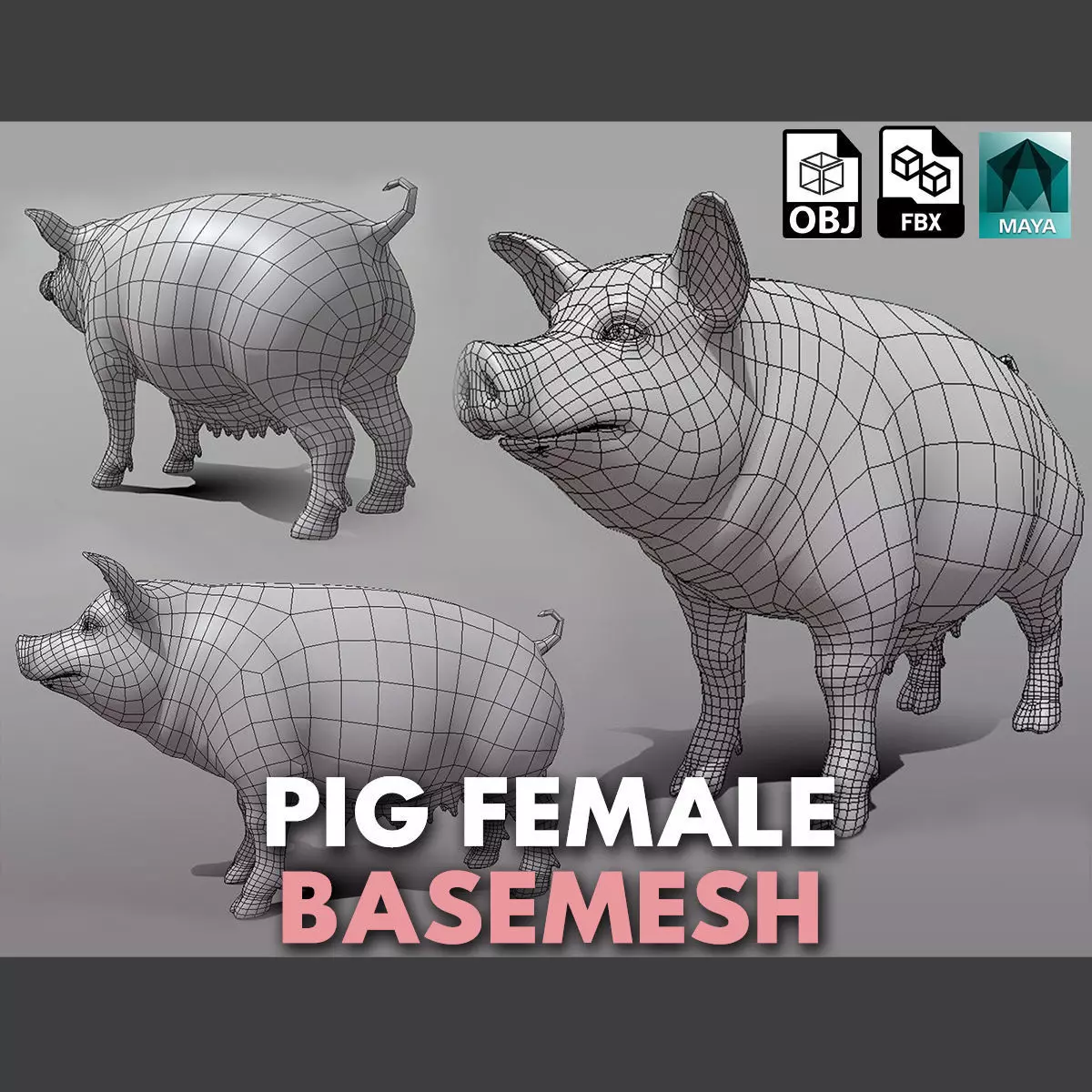 Pig Female  Low-poly 3D model_0