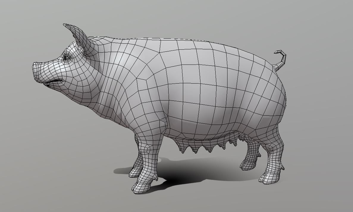 Pig Female  Low-poly 3D model_3
