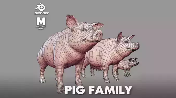 Pig Family BaseMesh 3D Model Collection