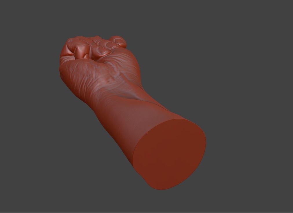 hand fig sign  3D print model_13
