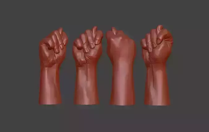 hand fig sign  3D print model