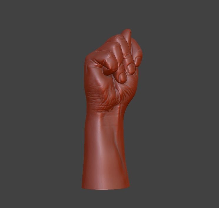 hand fig sign  3D print model_31