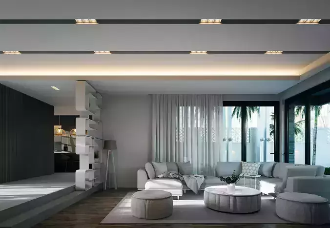 My complete interior and backyard design 