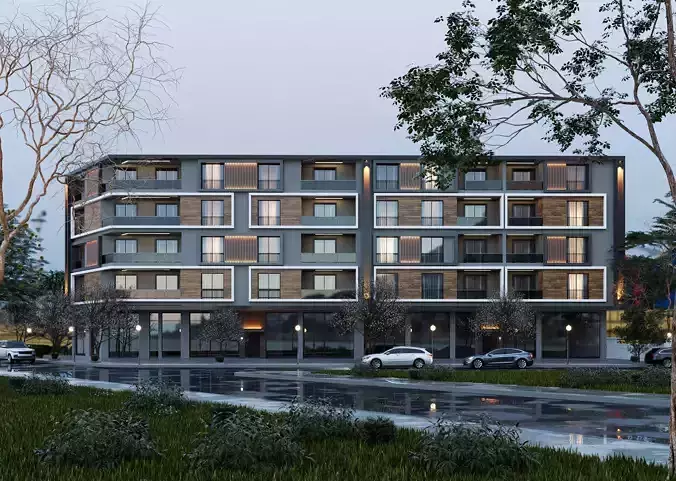 My grand apartment design