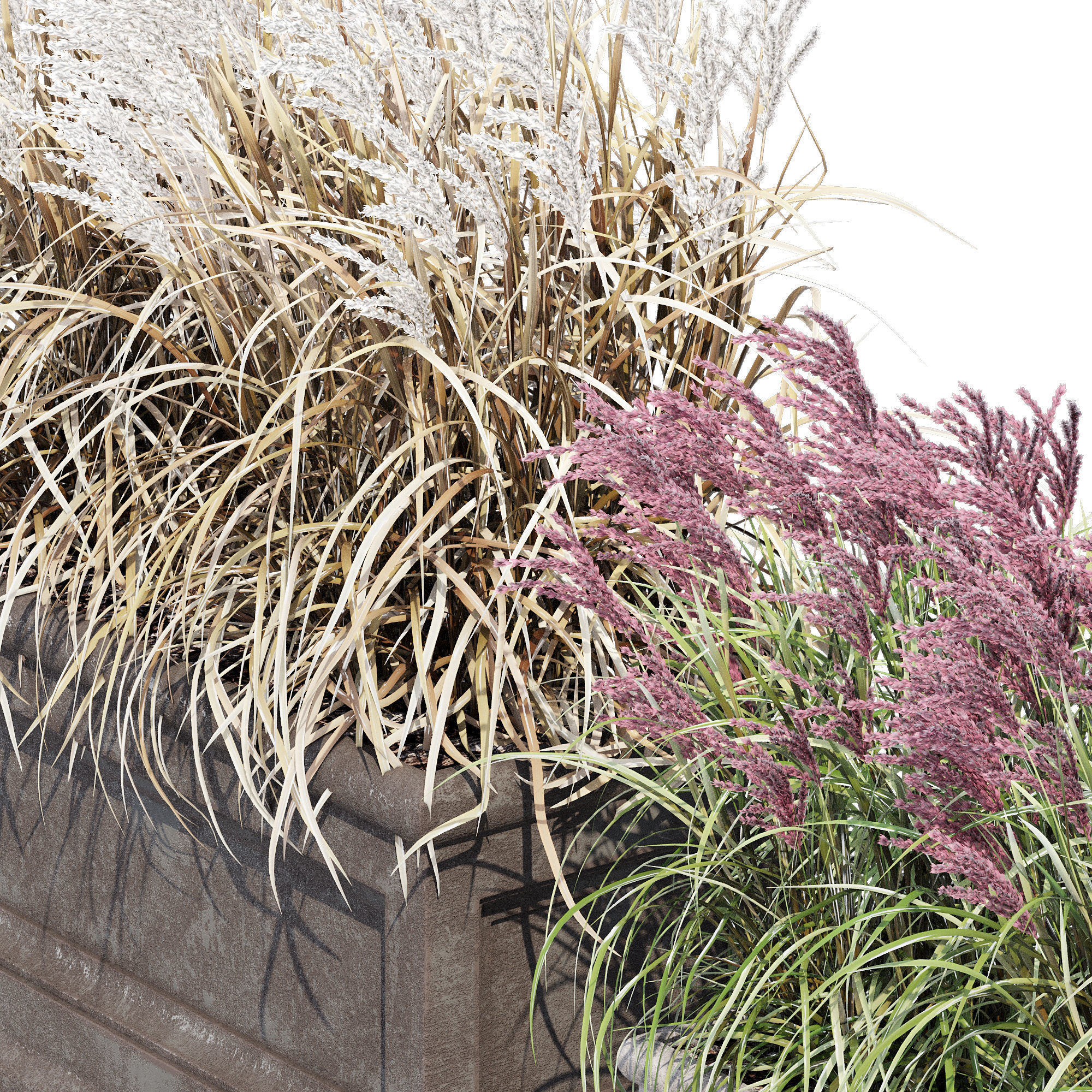 Le Notre Rectangle 3D model_5