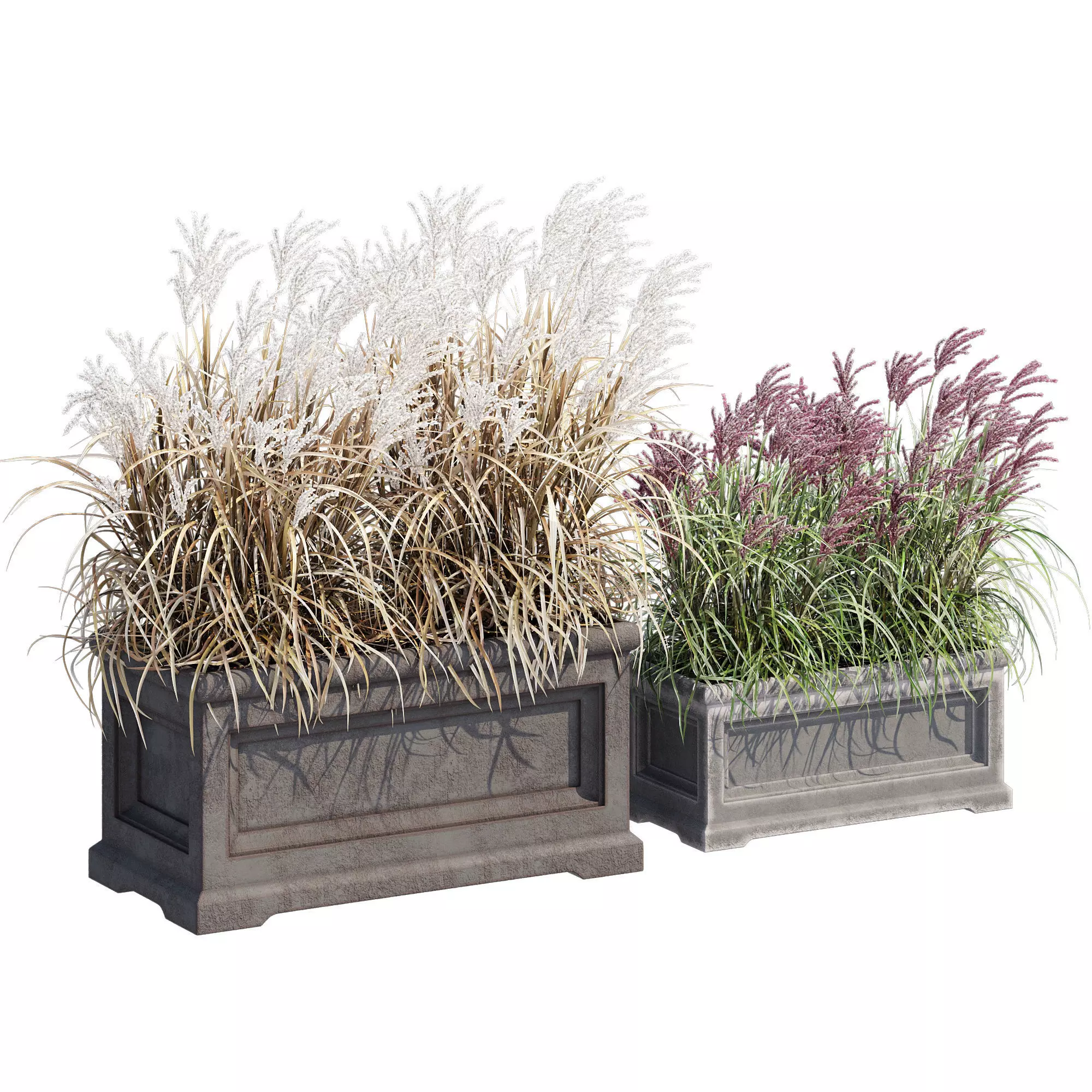 Le Notre Rectangle 3D model_0