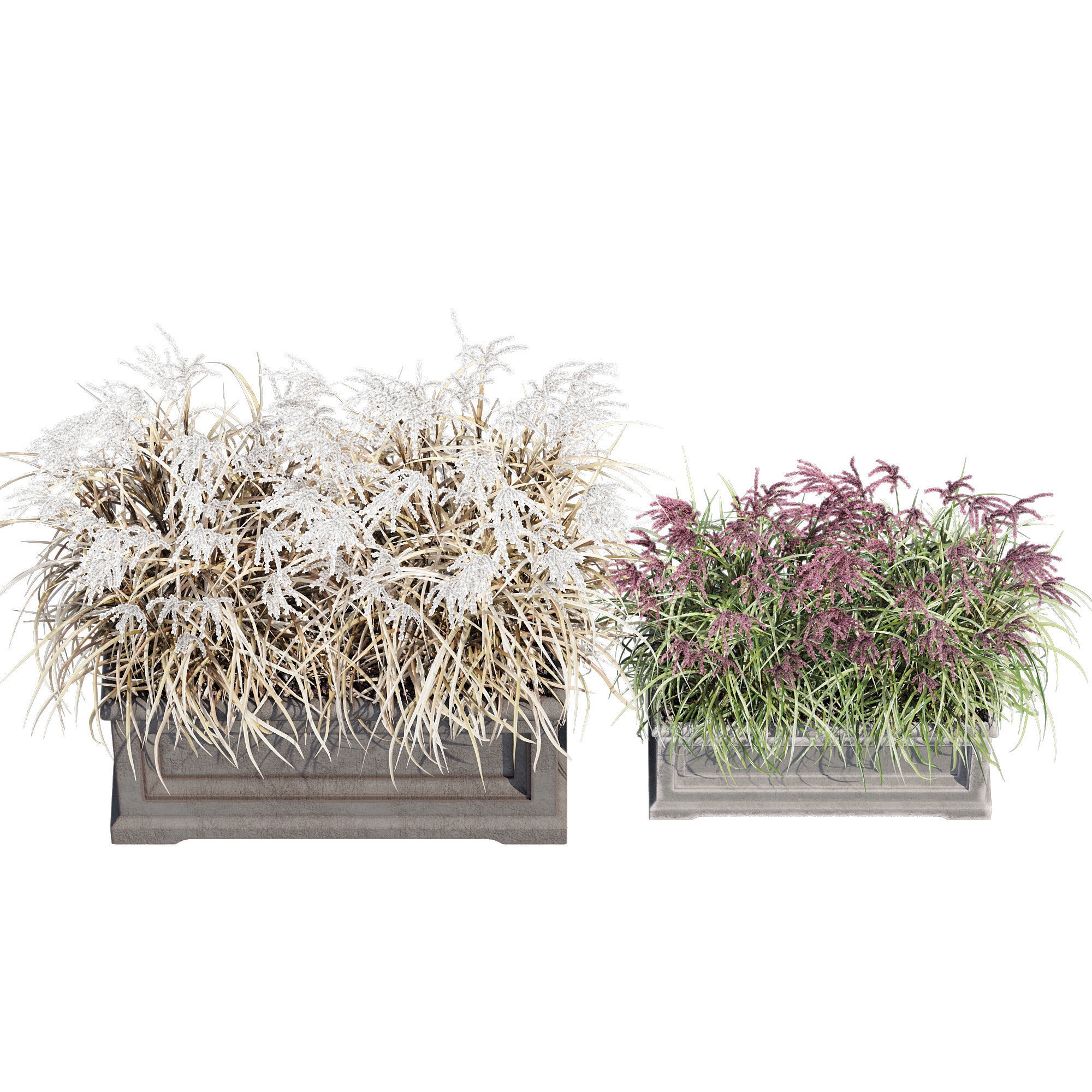 Le Notre Rectangle 3D model_3