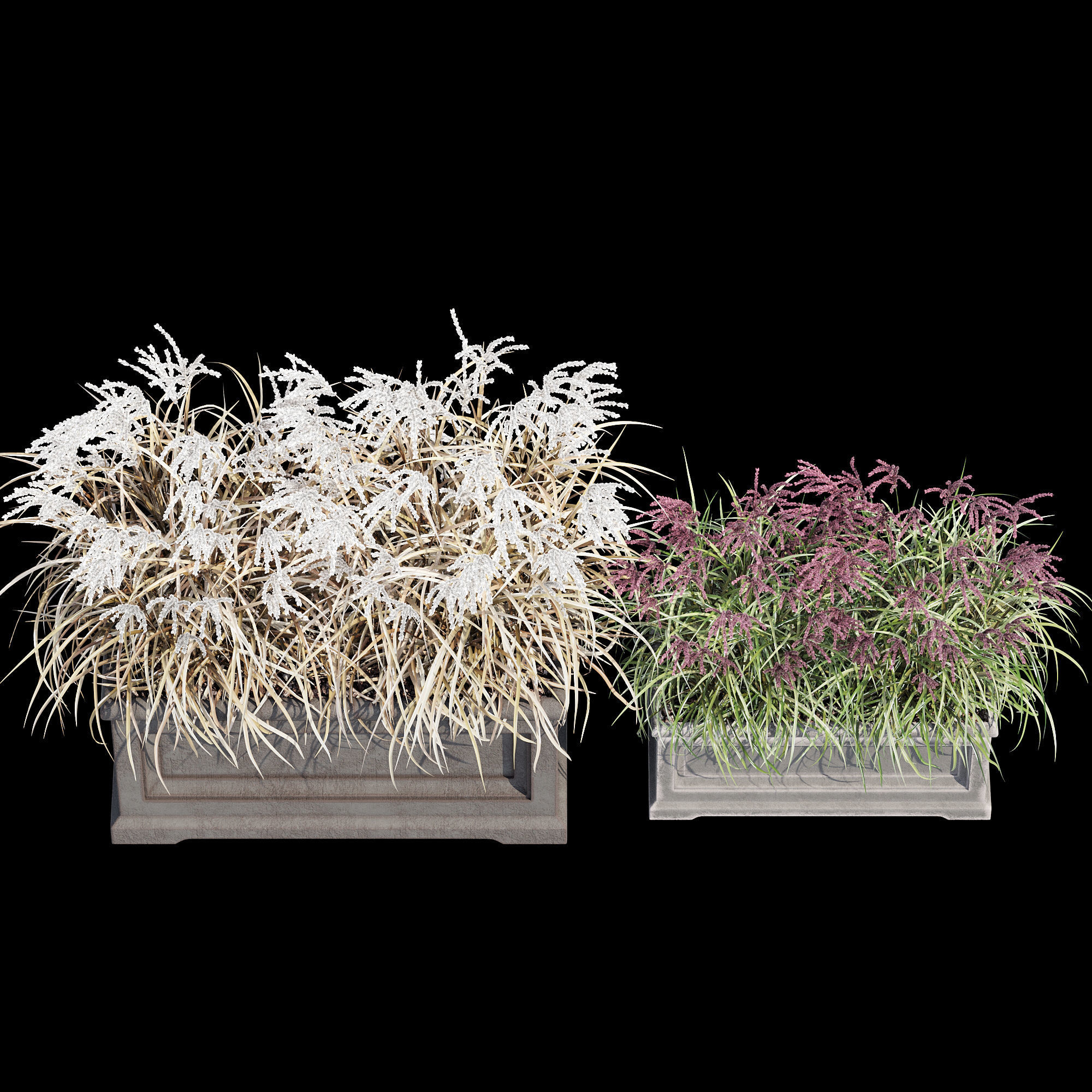 Le Notre Rectangle 3D model_10