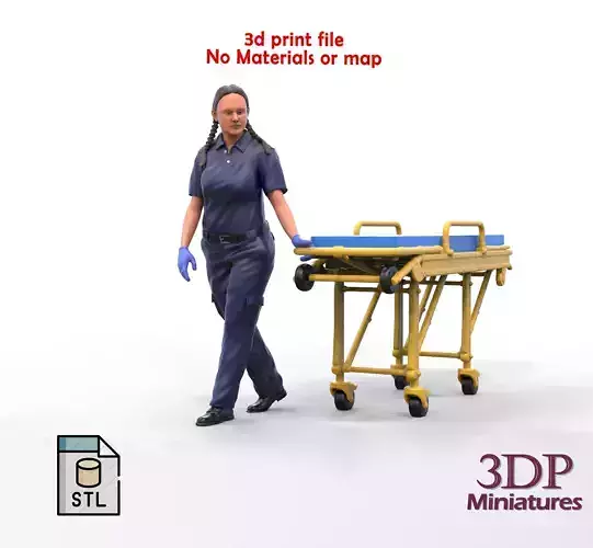N2 paramedic emergency service with a trolley 3D print model