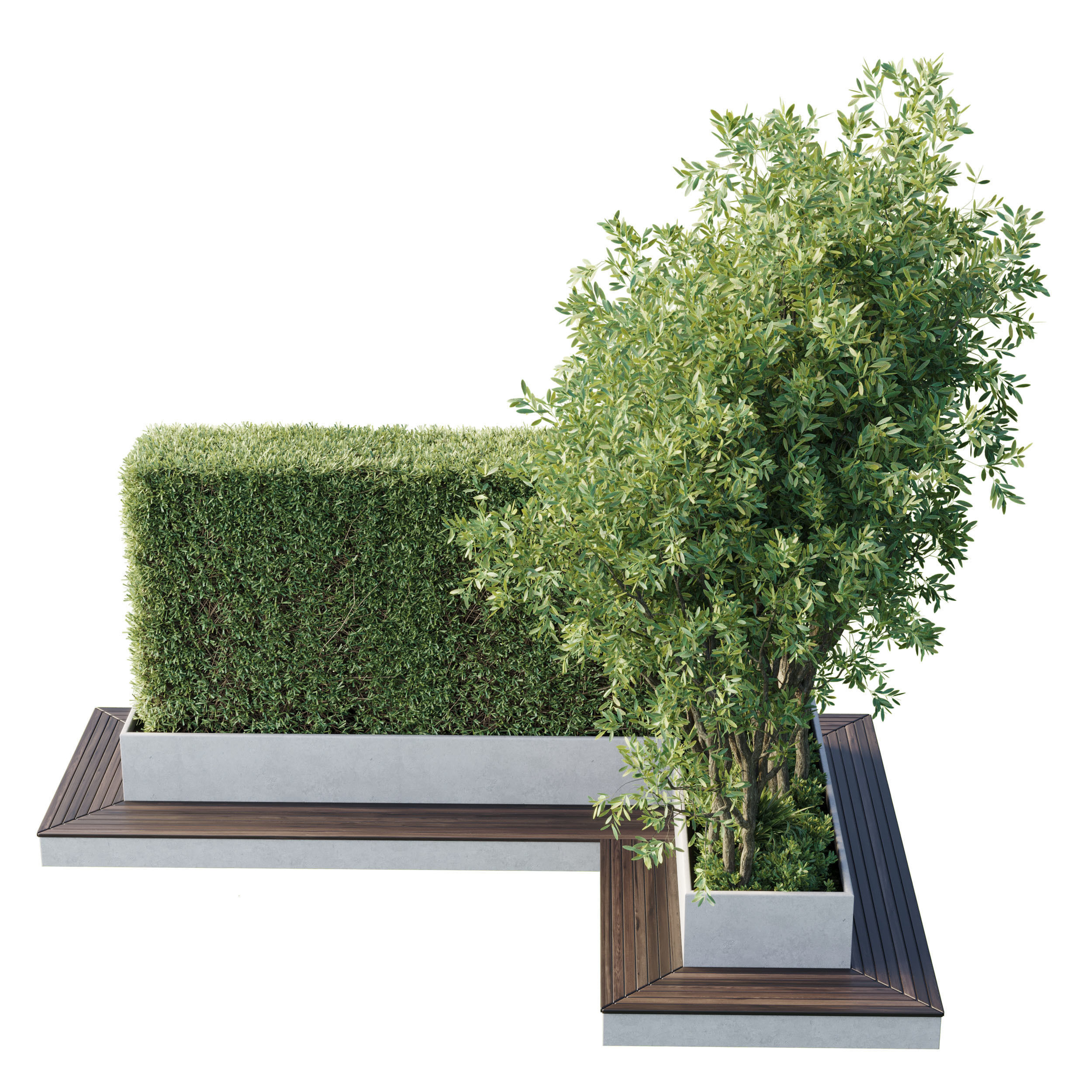 Garden plants set in a box - outdoor set 162 Low-poly 3D model_2