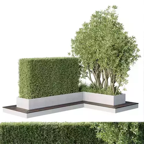 Garden plants set in a box - outdoor set 162
