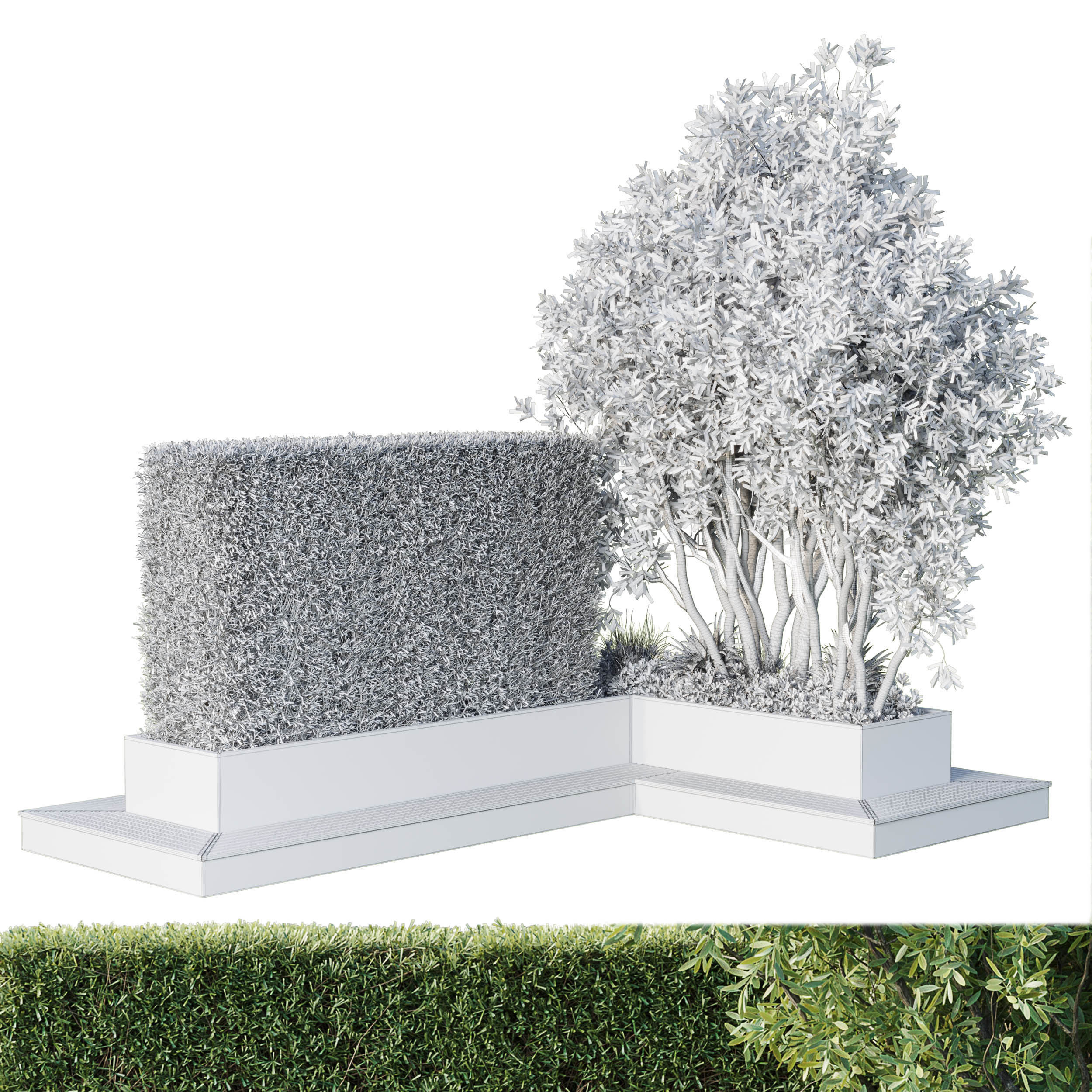 Garden plants set in a box - outdoor set 162 Low-poly 3D model_4