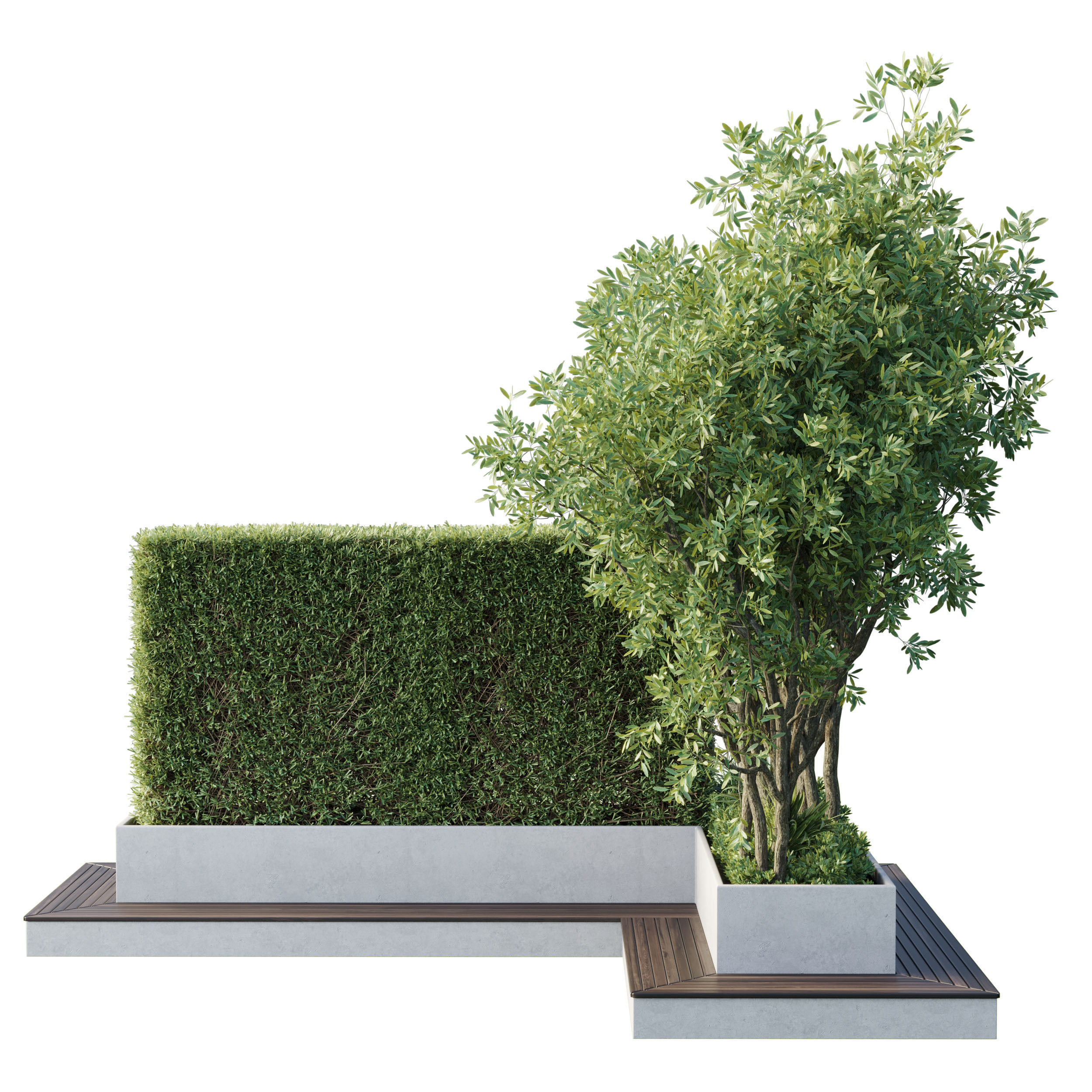 Garden plants set in a box - outdoor set 162 Low-poly 3D model_1