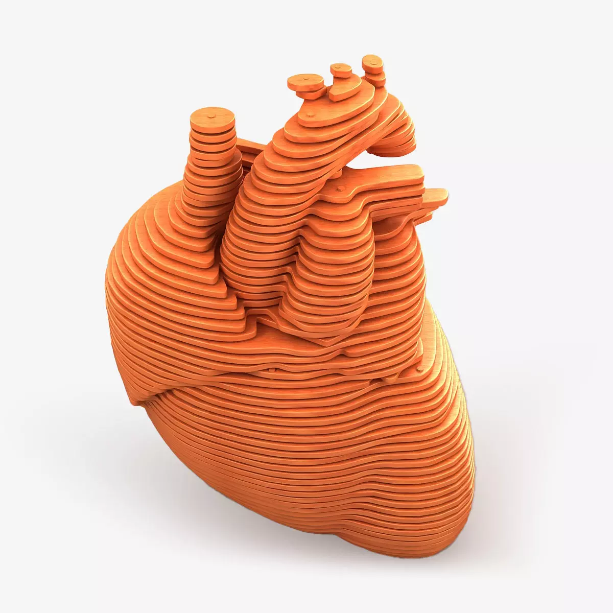 Parametric Human Heart Models 3D model