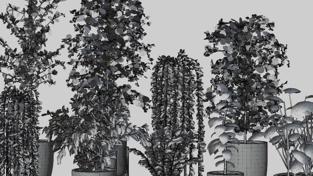 Pots with Plants 3D model_6