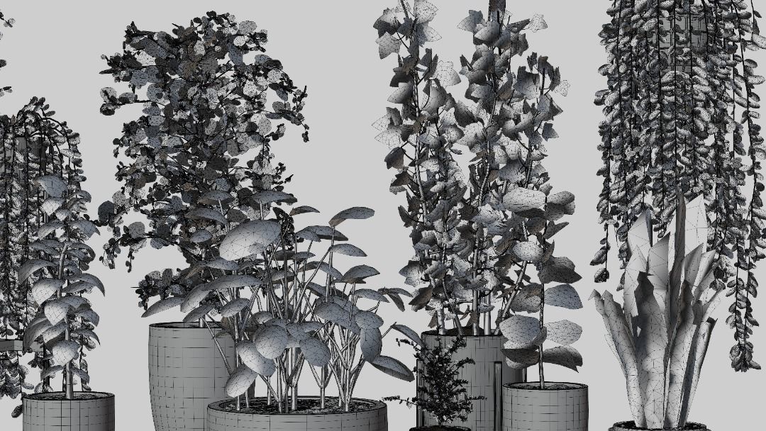 Pots with Plants 3D model_7