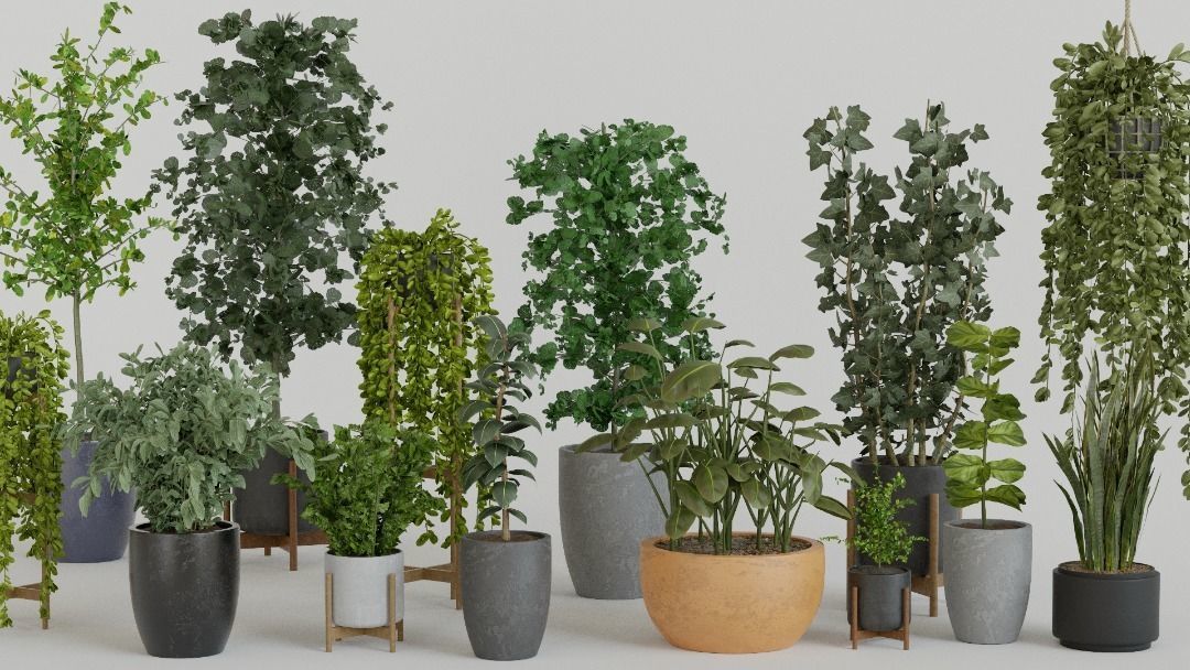 Pots with Plants 3D model_3