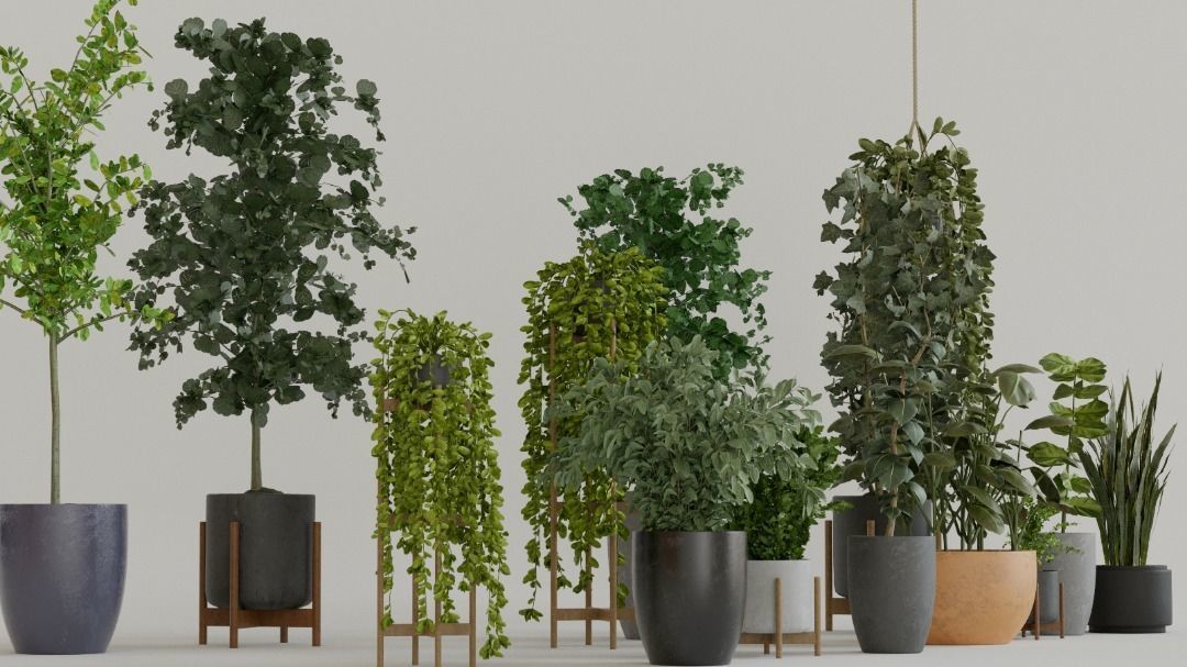 Pots with Plants 3D model_2