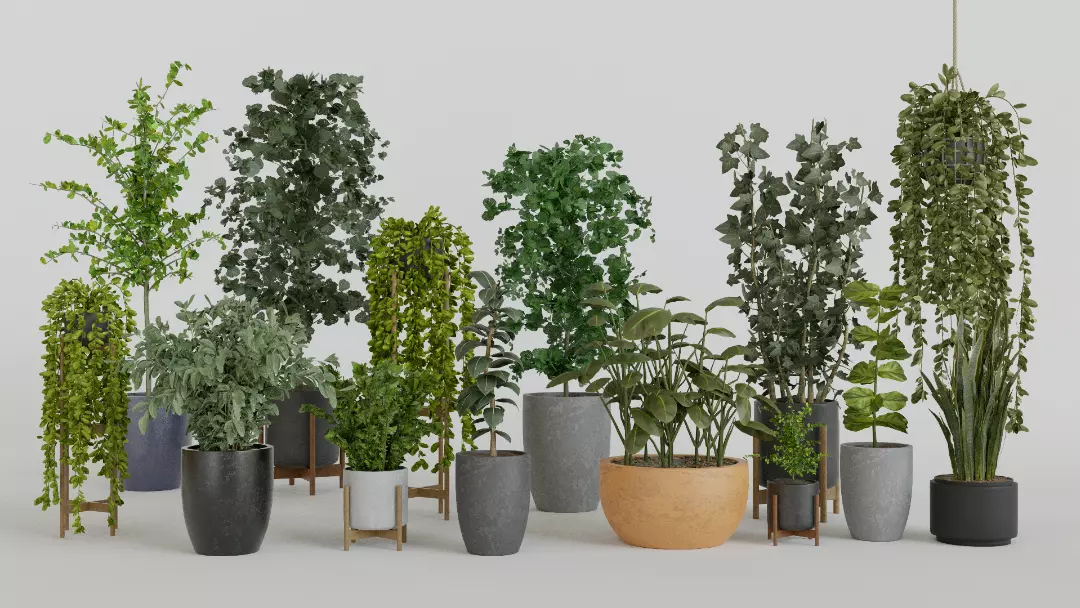 Pots with Plants 3D model_0