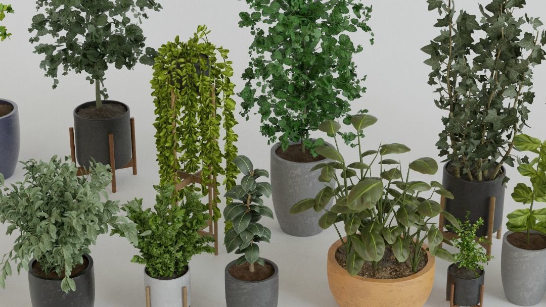 Pots with Plants 3D model_1