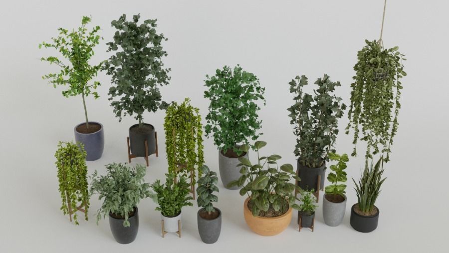 Pots with Plants 3D model_4