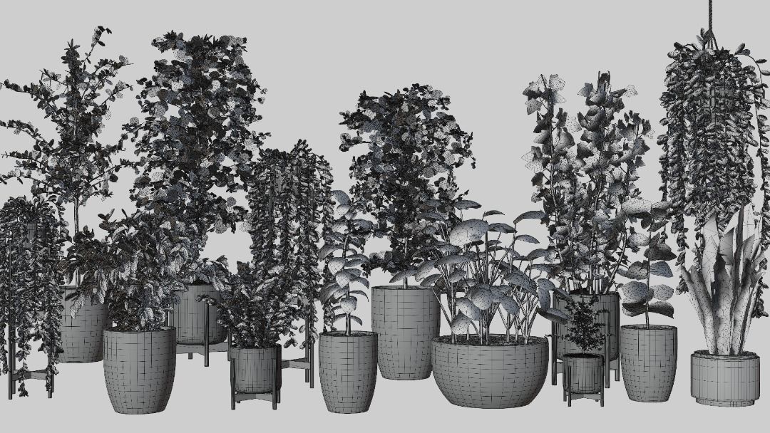 Pots with Plants 3D model_5