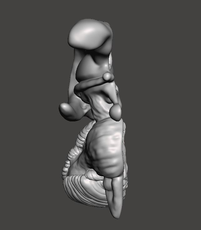 The diencephalon and brainstem 3D print model_3