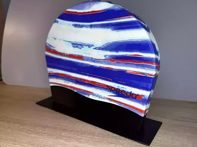 Swim Cap Display 3D print model