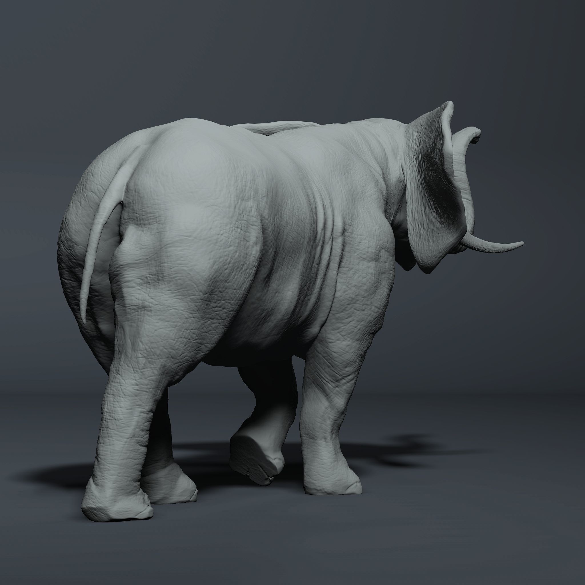 Realistic Elephant High-poly 3D model_3