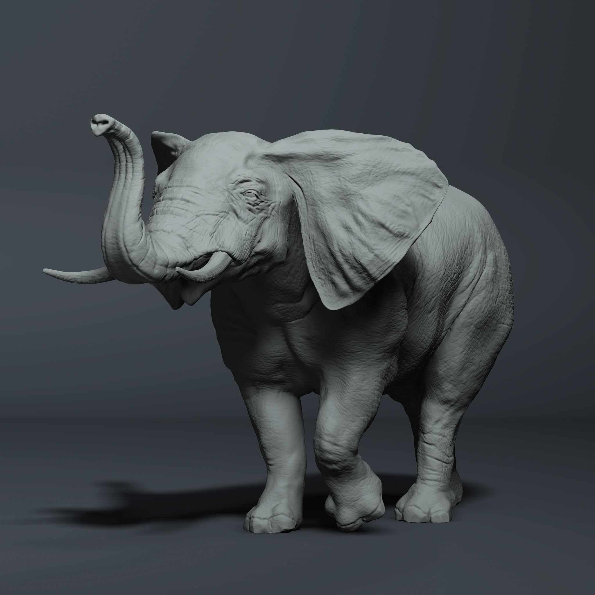 Realistic Elephant High-poly 3D model_1