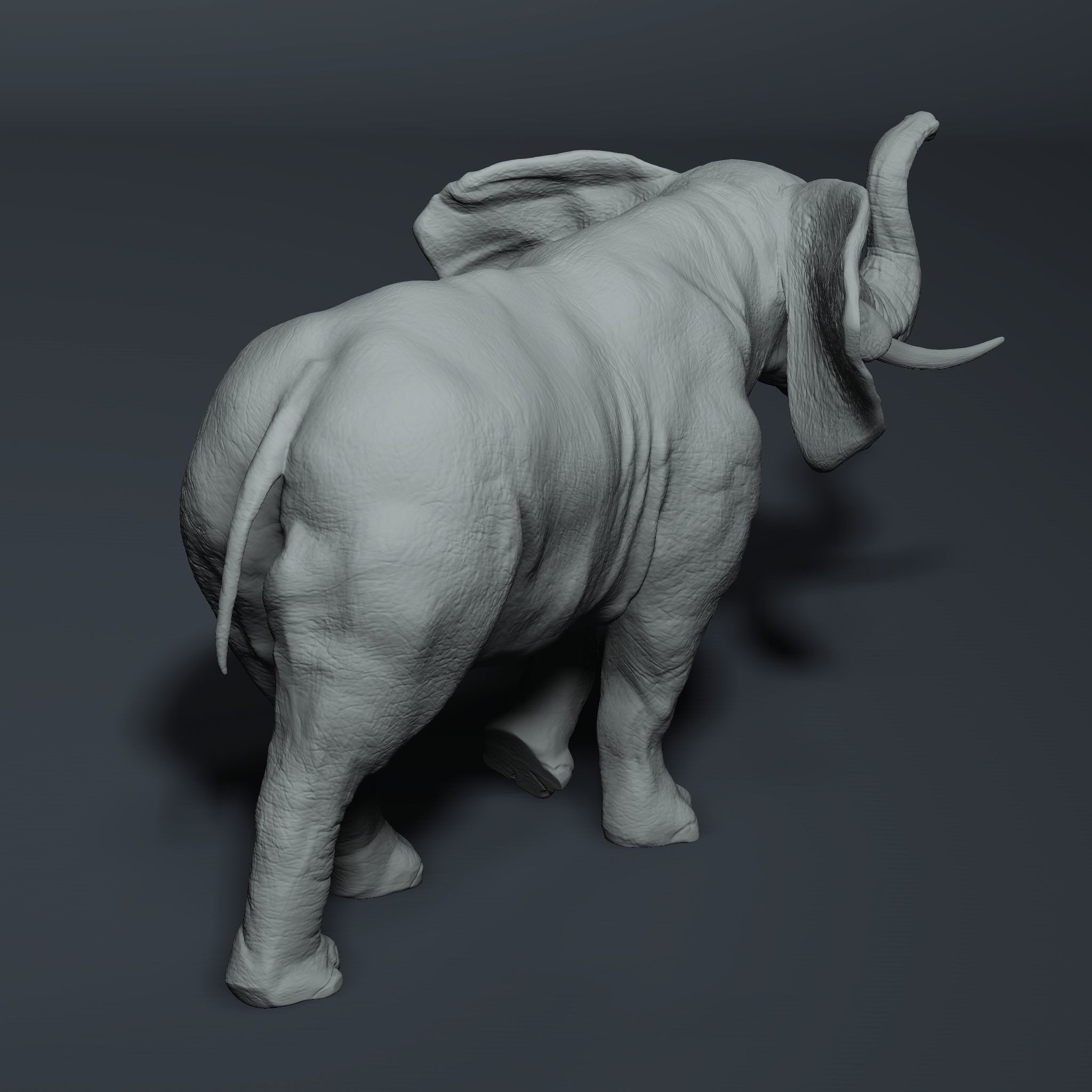 Realistic Elephant High-poly 3D model_2