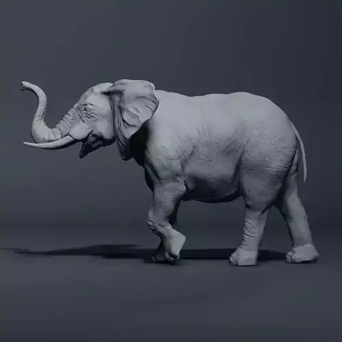 Realistic Elephant High-poly