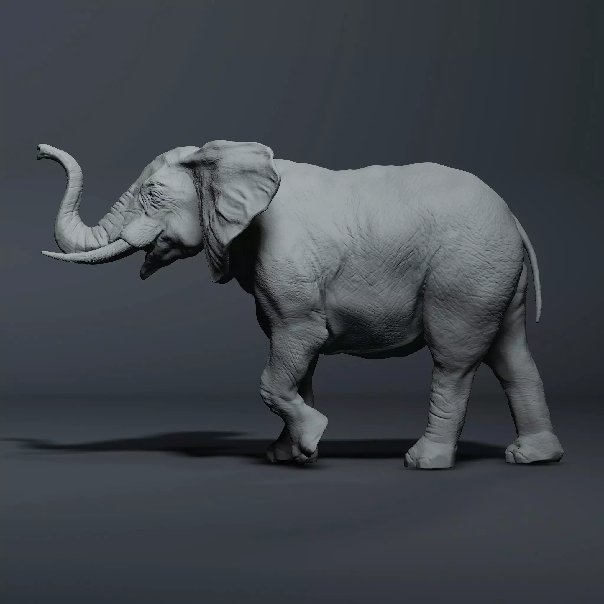 Realistic Elephant High-poly 3D model_0