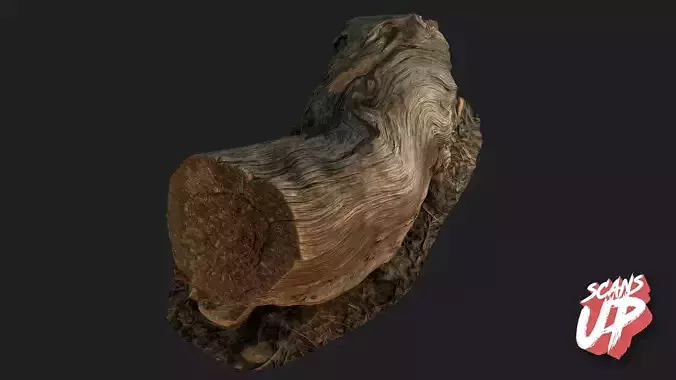 Dry Stump 01 - Stonelake3D Low-poly 3D model