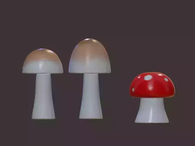 2 styles of mushroom