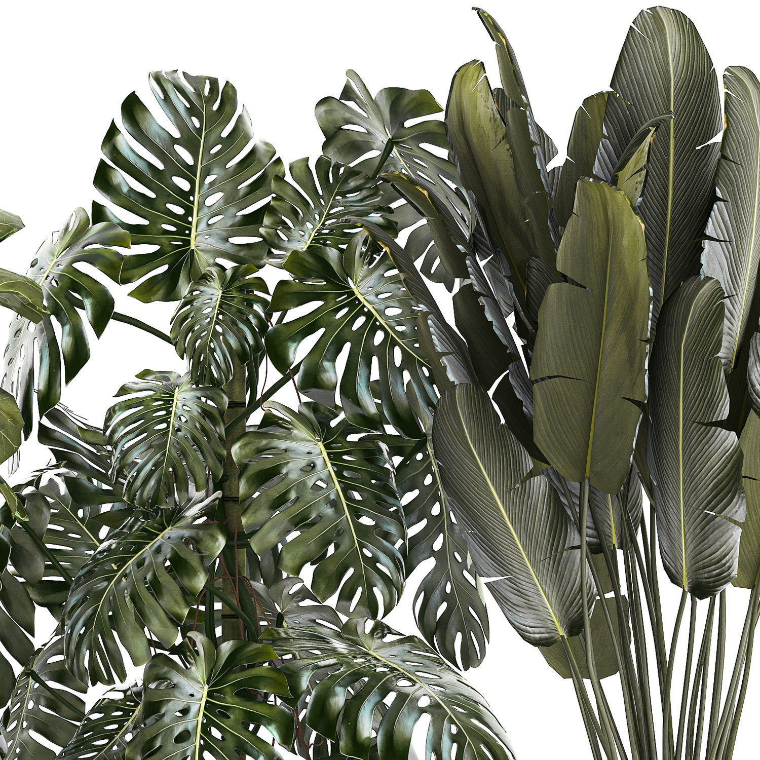 Set of beautiful plants and trees in pots for decoration 1322 3D model_13