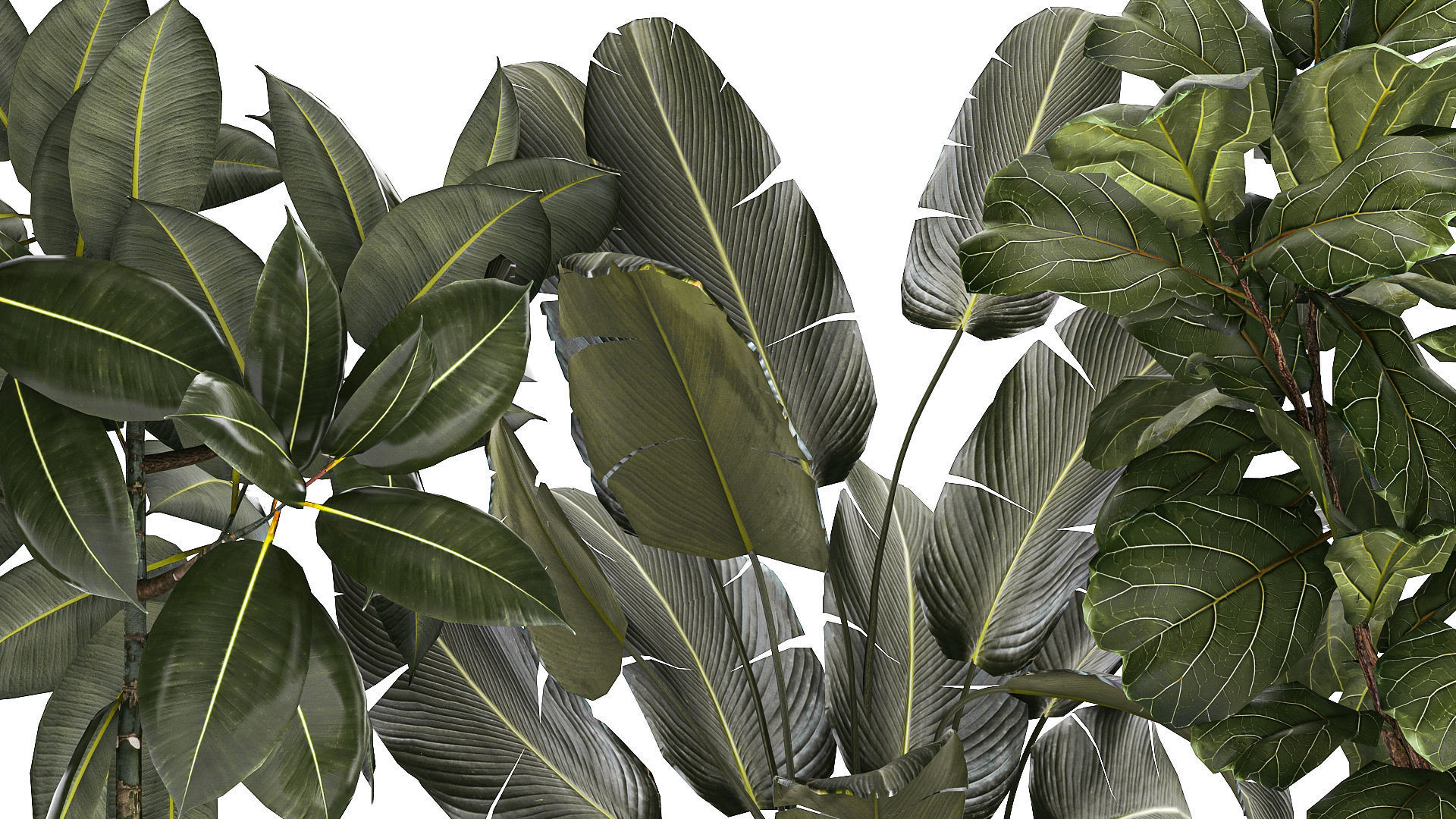 Set of beautiful plants and trees in pots for decoration 1322 3D model_6