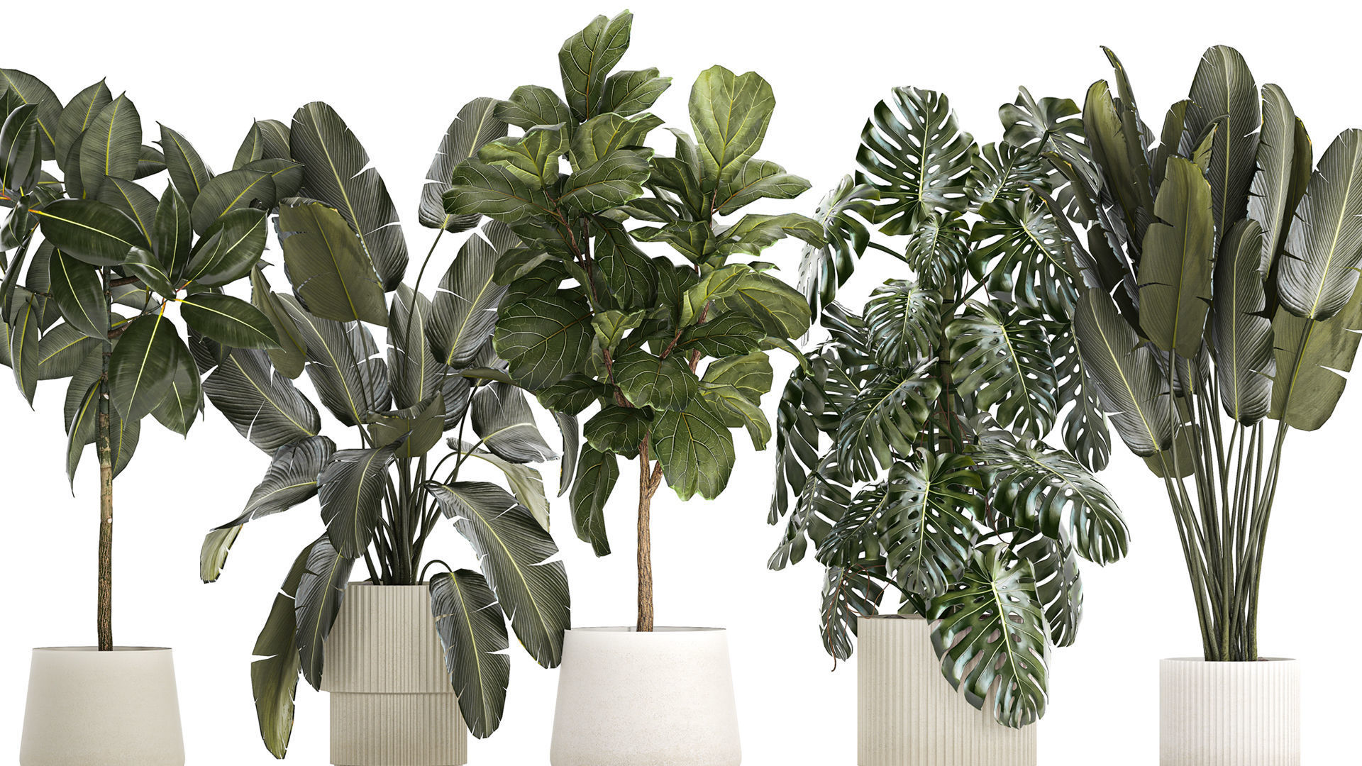 Set of beautiful plants and trees in pots for decoration 1322 3D model_2