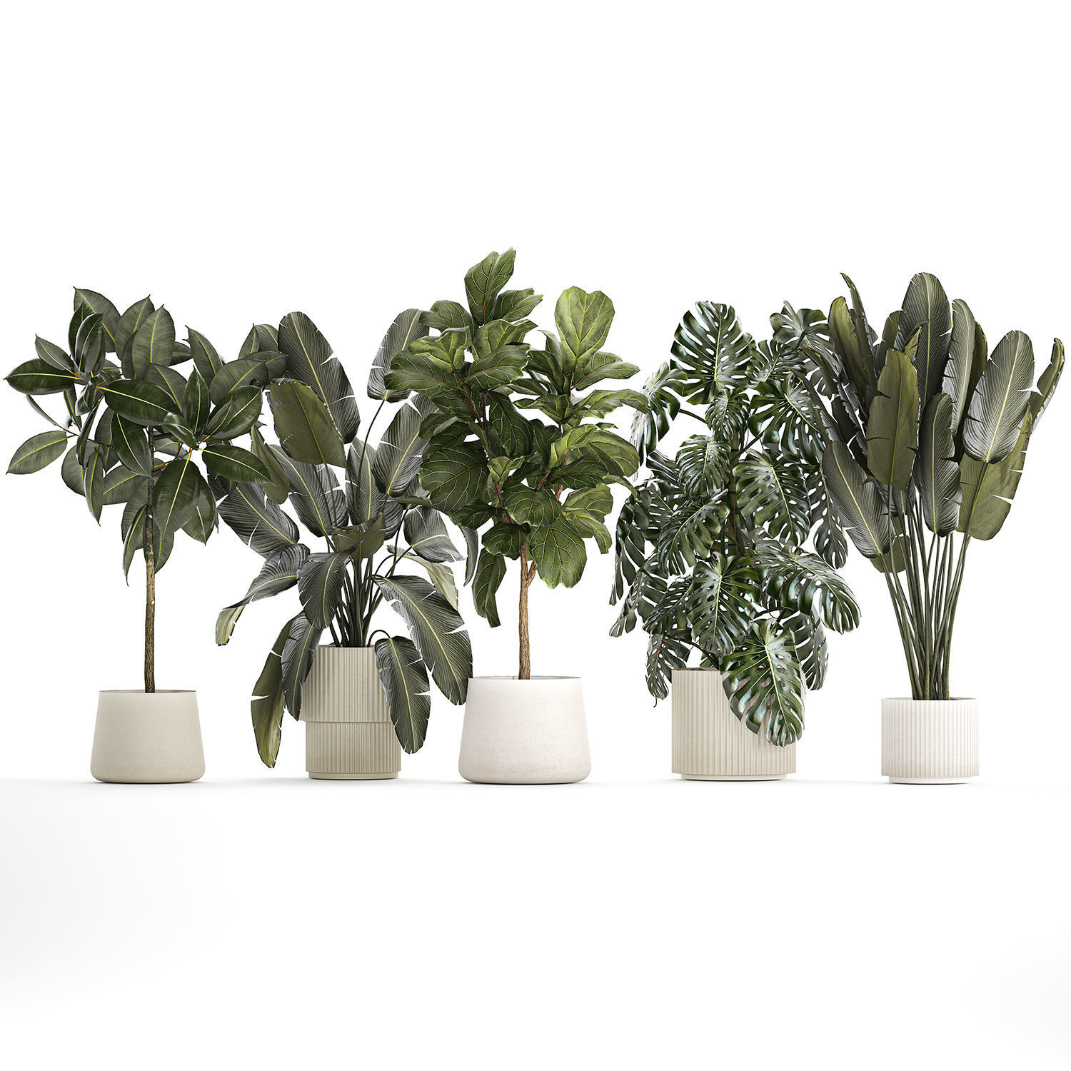 Set of beautiful plants and trees in pots for decoration 1322 3D model_8