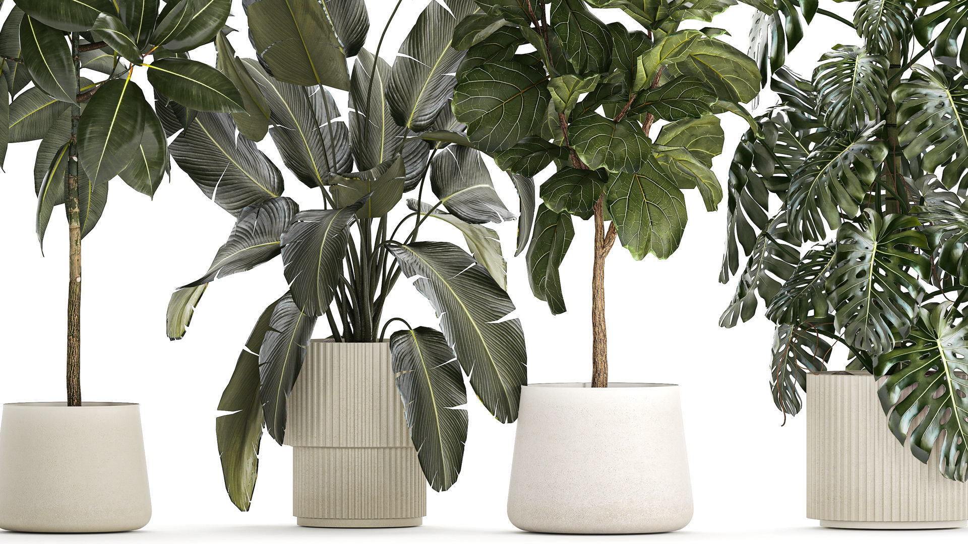 Set of beautiful plants and trees in pots for decoration 1322 3D model_3