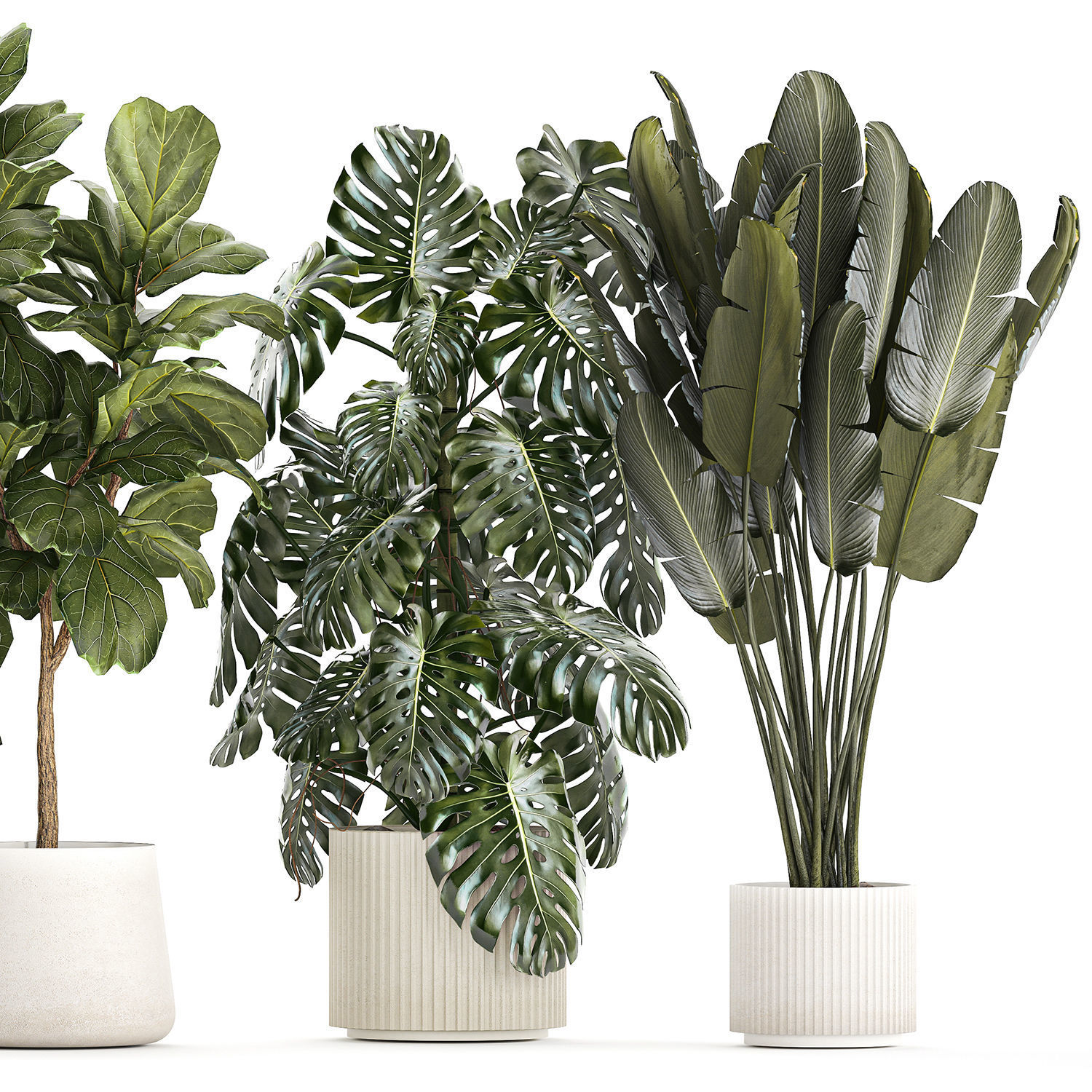 Set of beautiful plants and trees in pots for decoration 1322 3D model_11