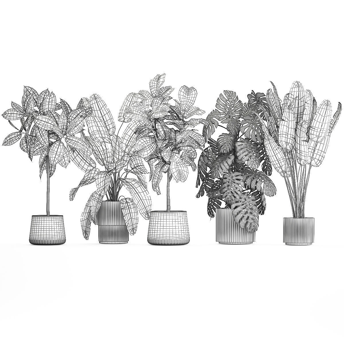 Set of beautiful plants and trees in pots for decoration 1322 3D model_15