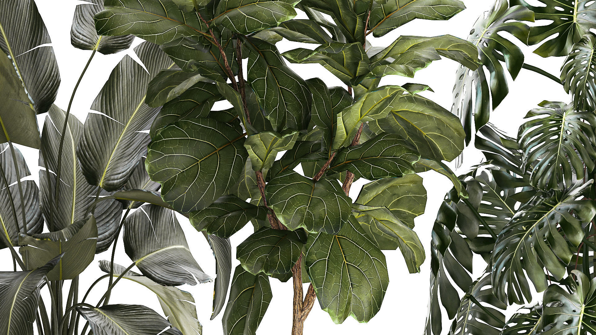 Set of beautiful plants and trees in pots for decoration 1322 3D model_5