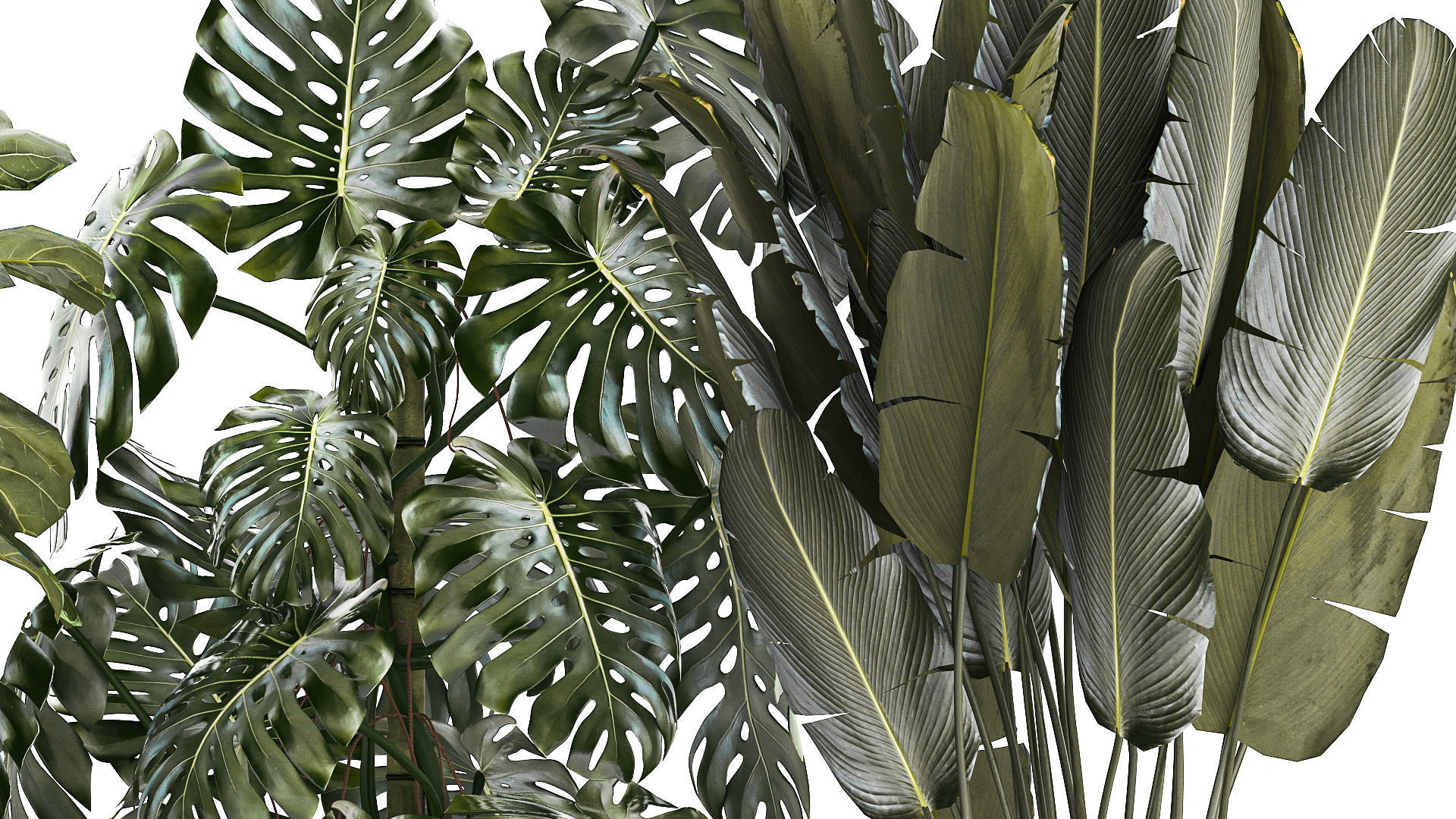 Set of beautiful plants and trees in pots for decoration 1322 3D model_4