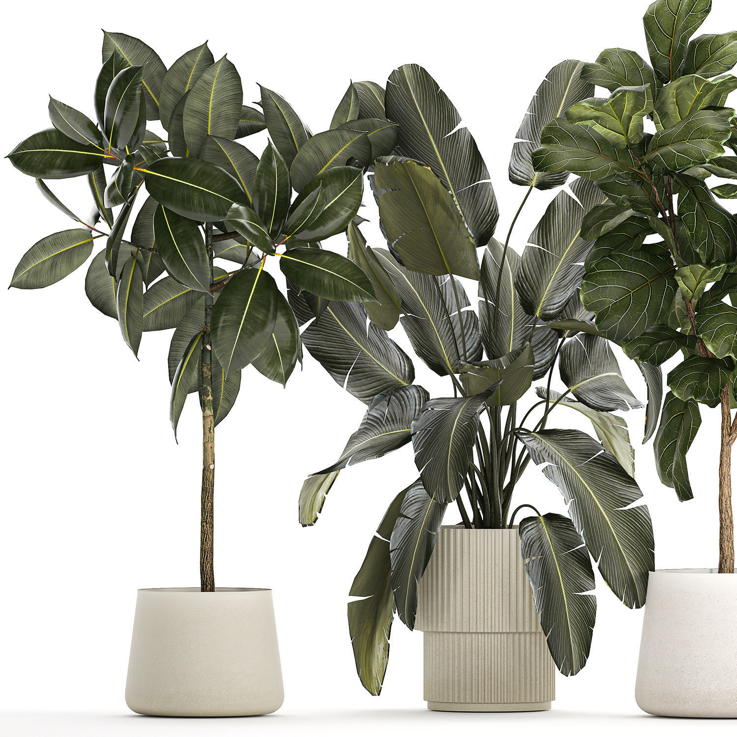 Set of beautiful plants and trees in pots for decoration 1322 3D model_10