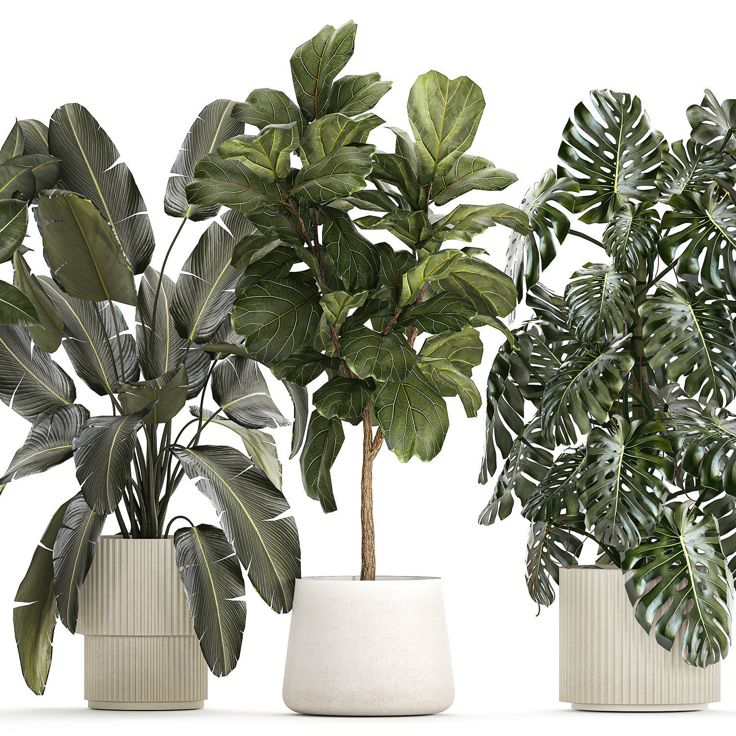 Set of beautiful plants and trees in pots for decoration 1322 3D model_9