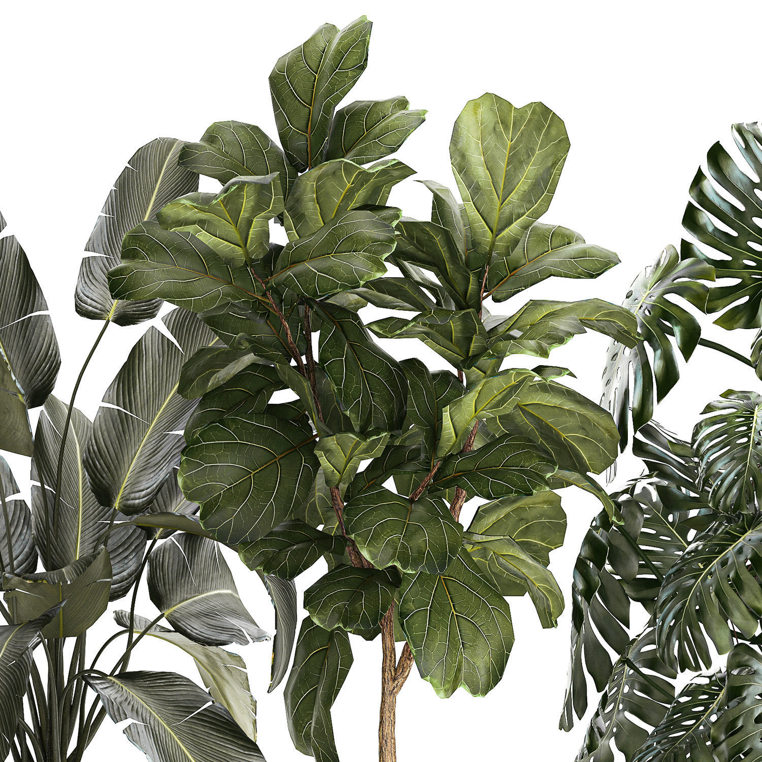 Set of beautiful plants and trees in pots for decoration 1322 3D model_14